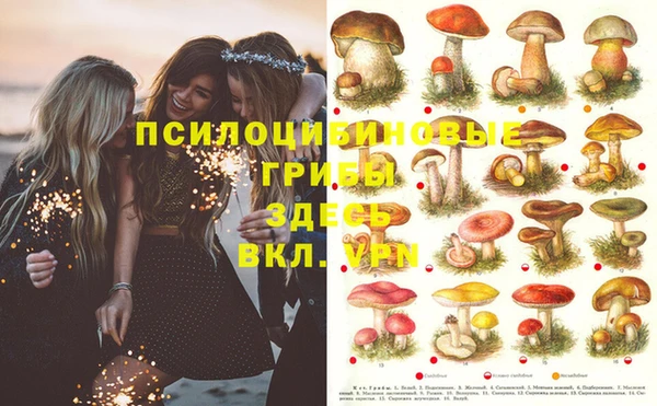 марки lsd Балахна